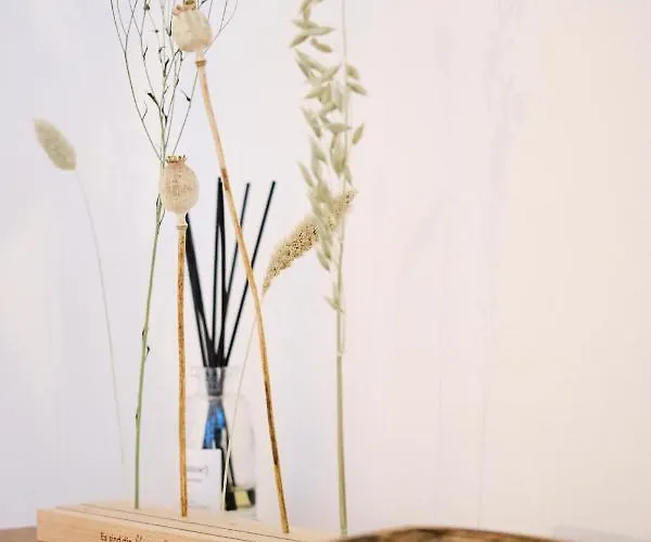 Park Avenue - Dom Mit Stil - Küche - Parkplatz - Wlan - 65 Zoll Tv - Netflix *