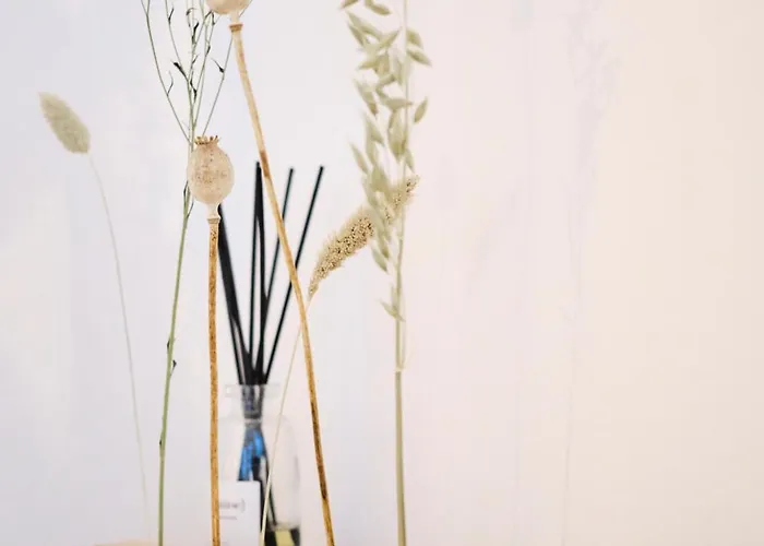 Park Avenue - Dom Mit Stil - Kueche - Parkplatz - Wlan - 65 Zoll Tv - Netflix